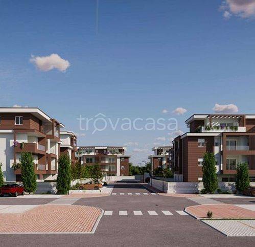 immagine annuncio 4 di 14