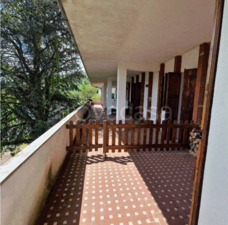 immagine annuncio 3 di 9