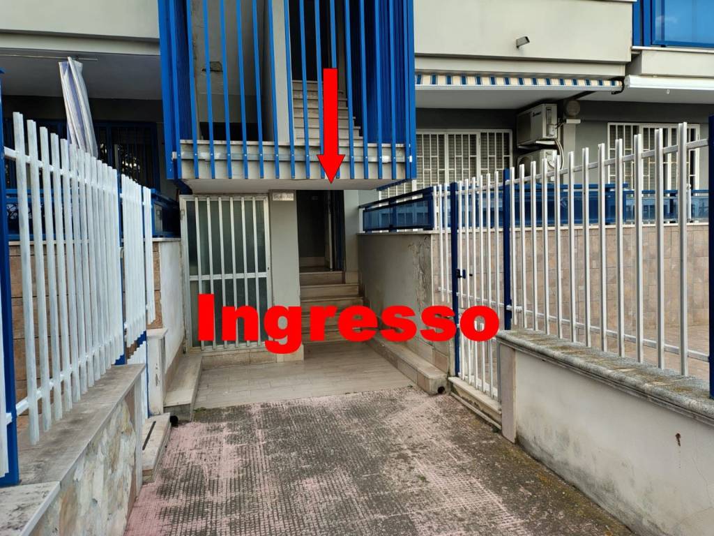 immagine annuncio 1 di 14