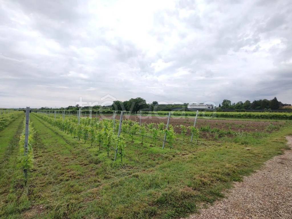 immagine annuncio 4 di 11