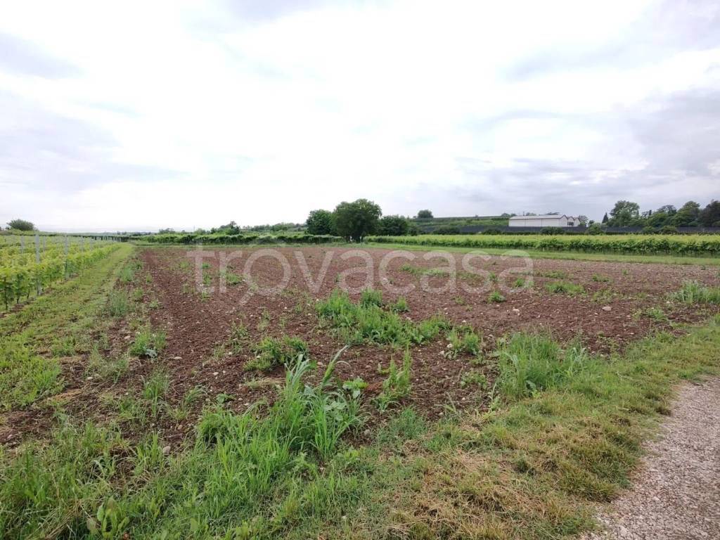 immagine annuncio 7 di 11