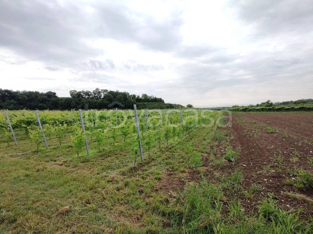 immagine annuncio 8 di 11