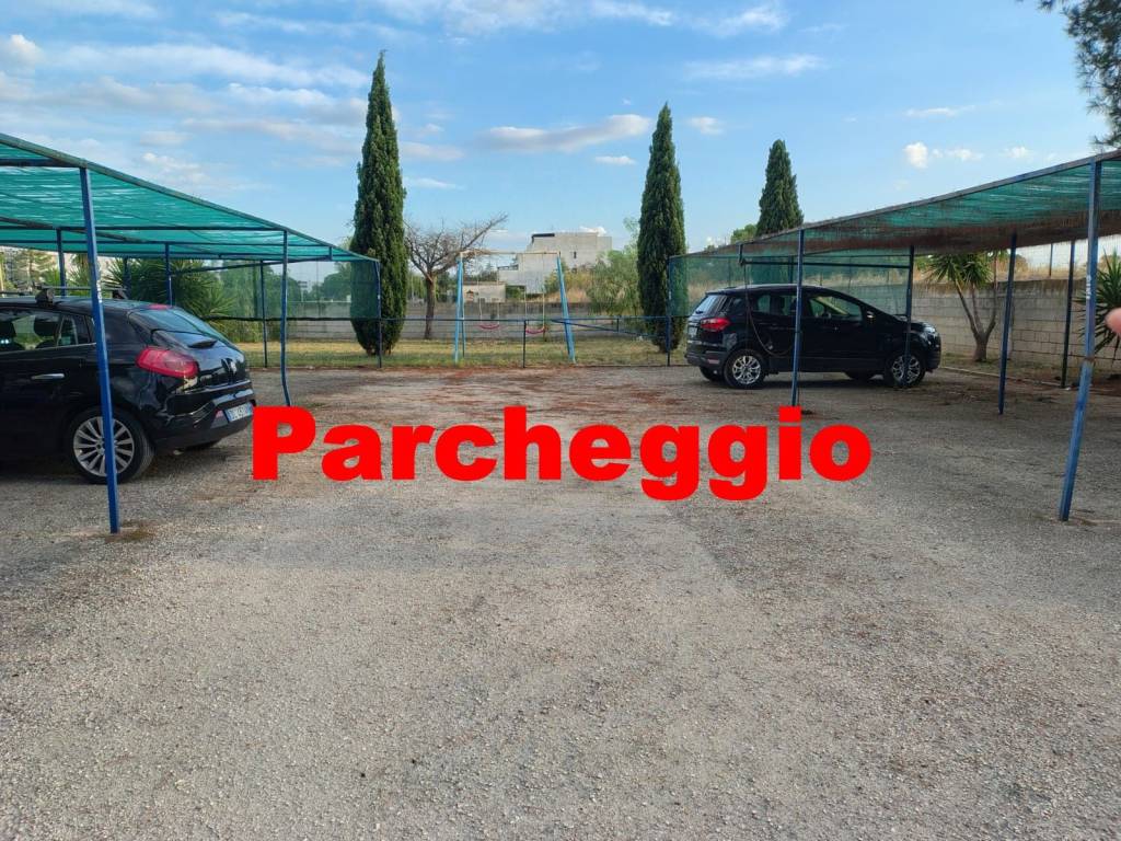 immagine annuncio 9 di 14