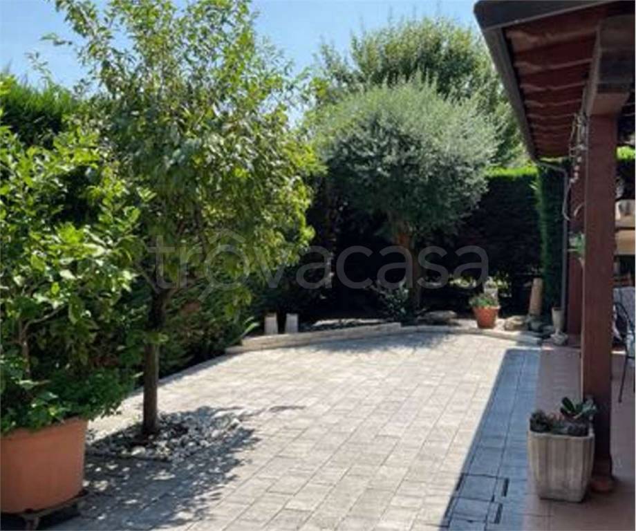 immagine annuncio 8 di 14