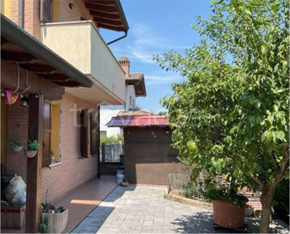 immagine annuncio 10 di 14