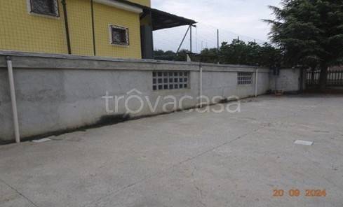 immagine annuncio 1 di 8