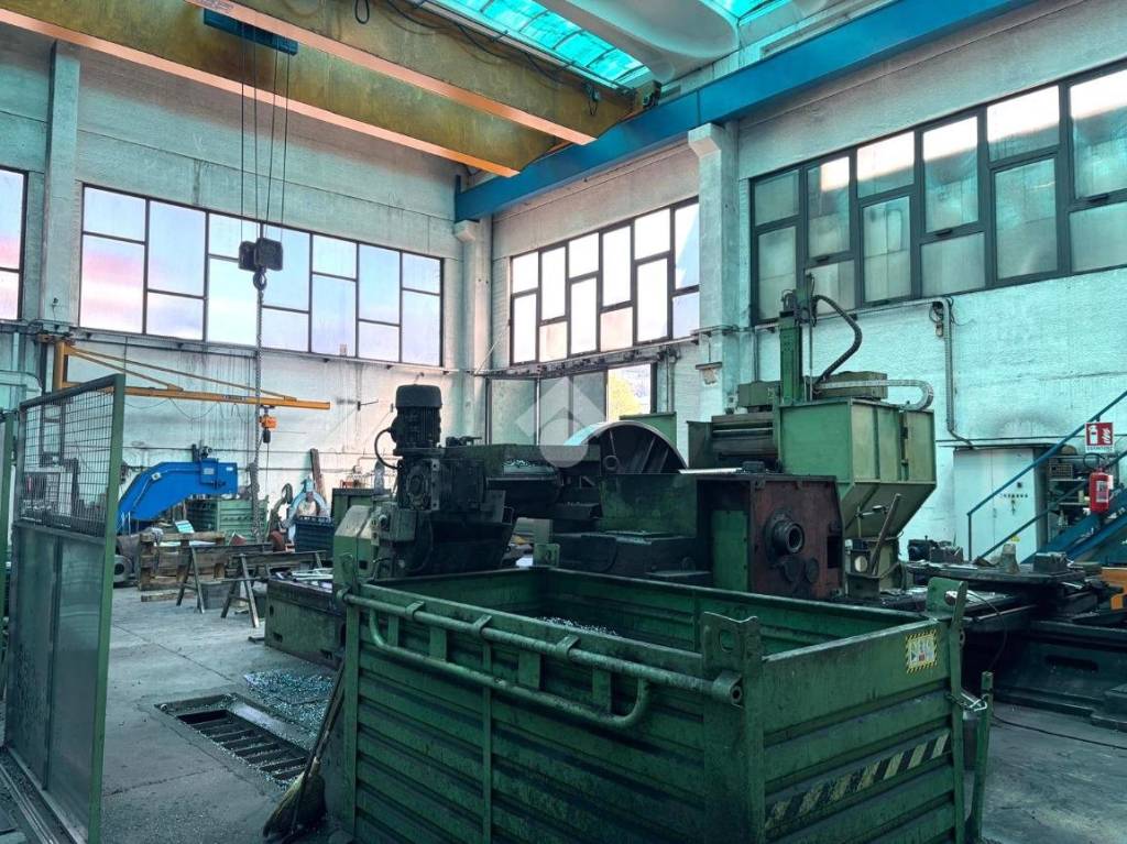 immagine annuncio 11 di 15