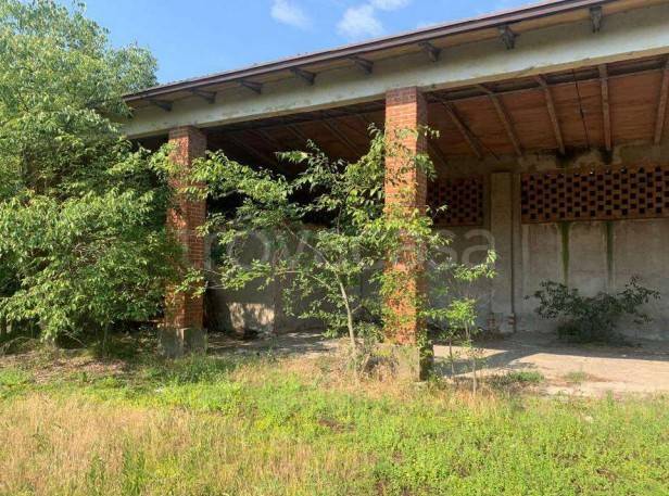 immagine annuncio 9 di 15