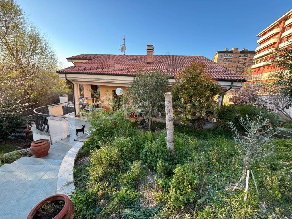 immagine annuncio 3 di 15