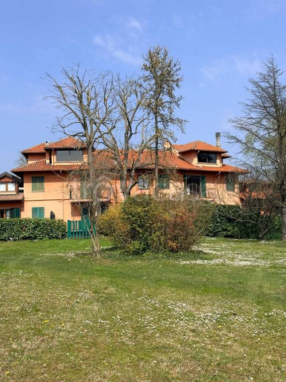 immagine annuncio 1 di 15