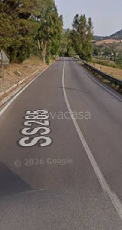 immagine annuncio 6 di 11