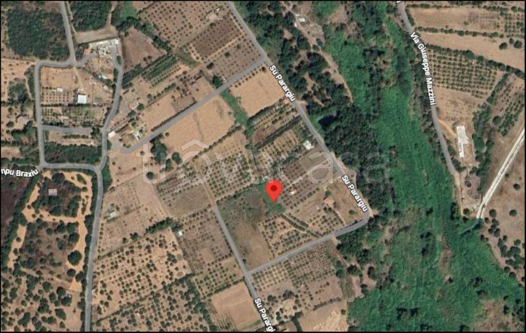 immagine annuncio 11 di 12