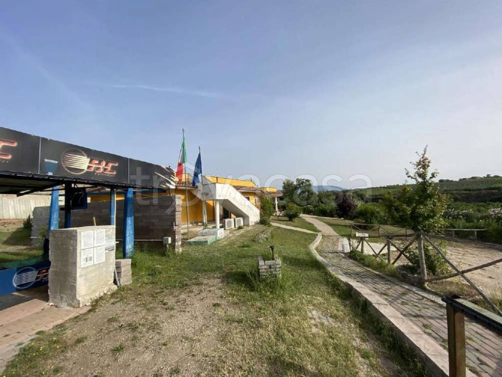 immagine annuncio 13 di 15