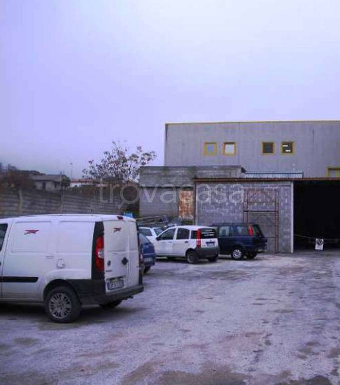 immagine annuncio 4 di 11