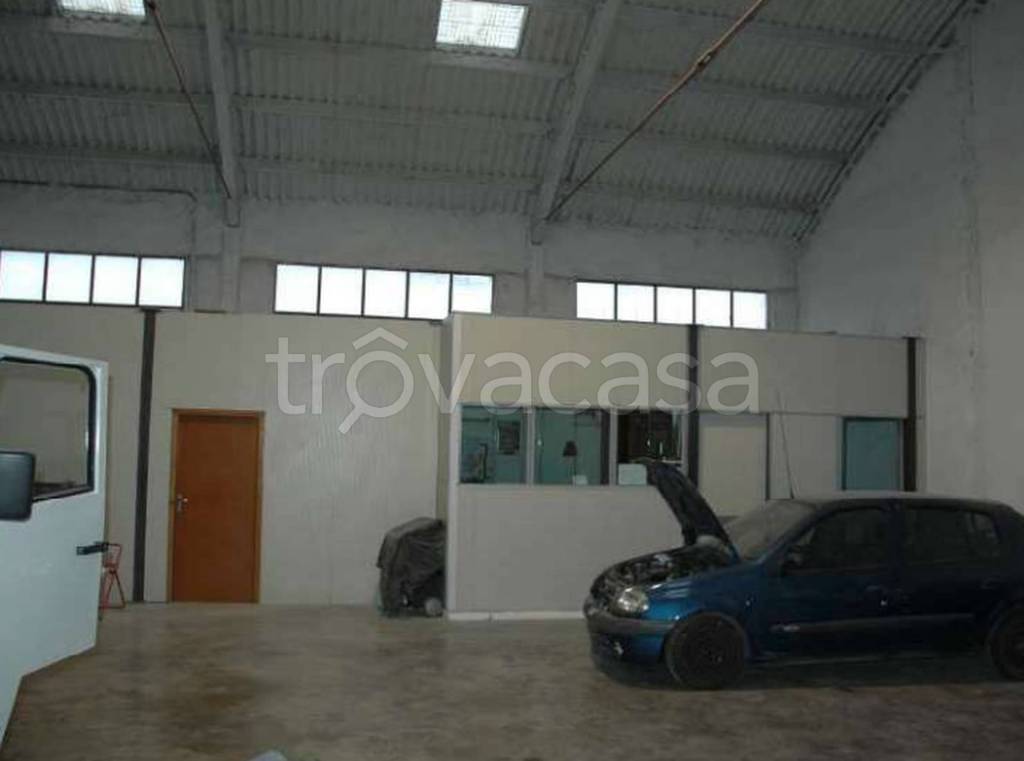 immagine annuncio 5 di 11