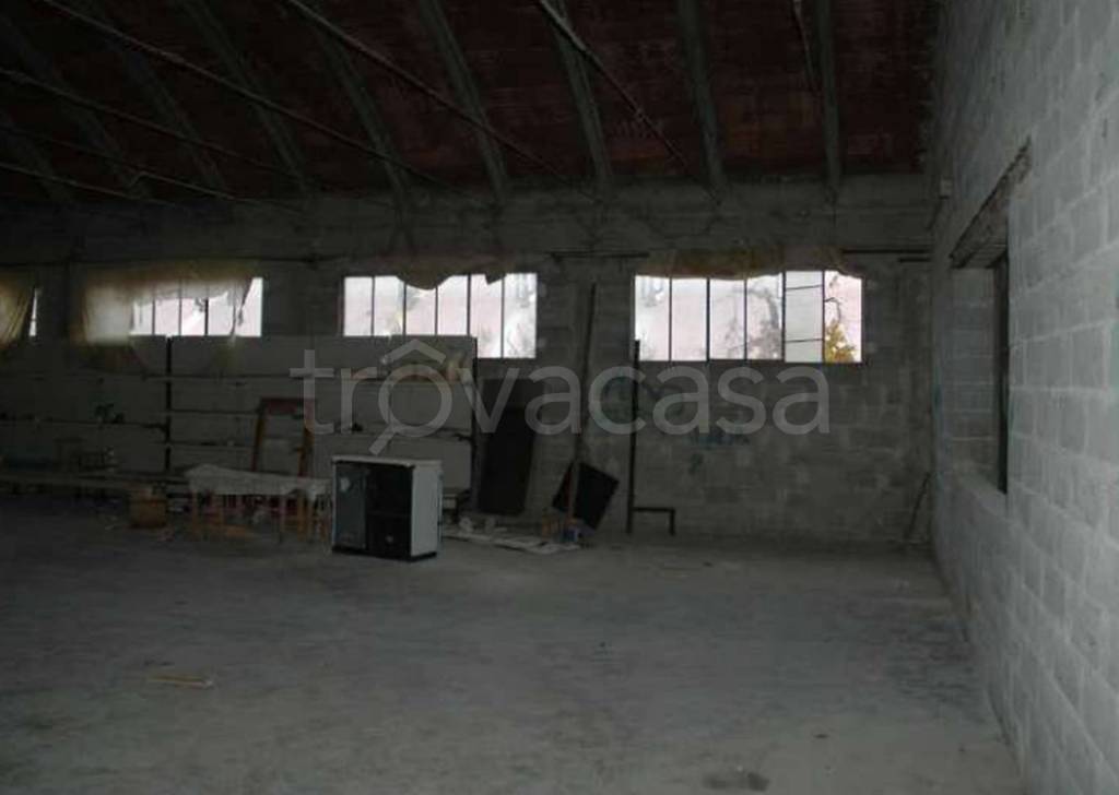 immagine annuncio 9 di 11