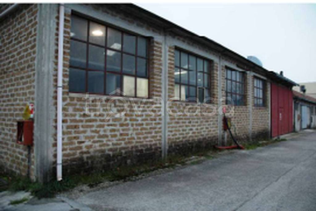 immagine annuncio 4 di 11