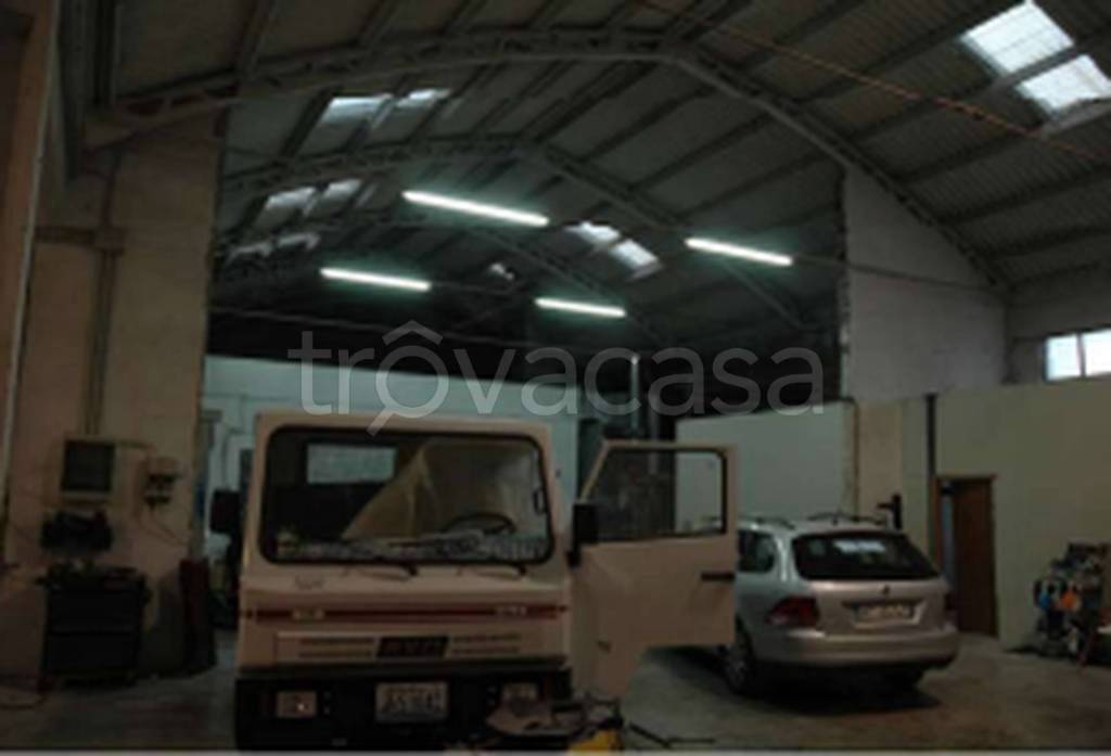 immagine annuncio 6 di 11