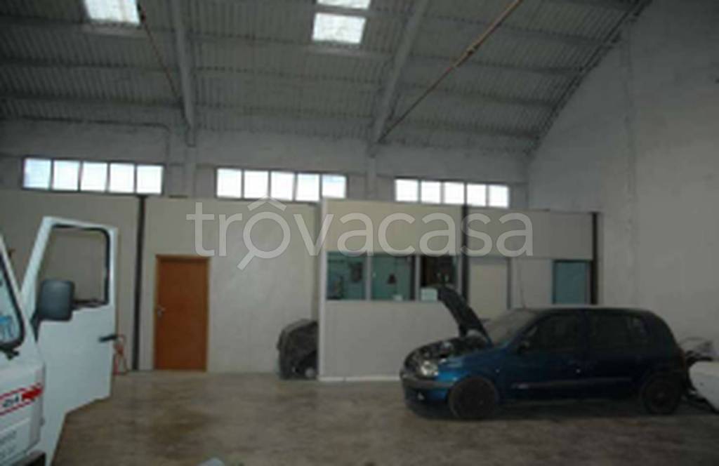 immagine annuncio 7 di 11