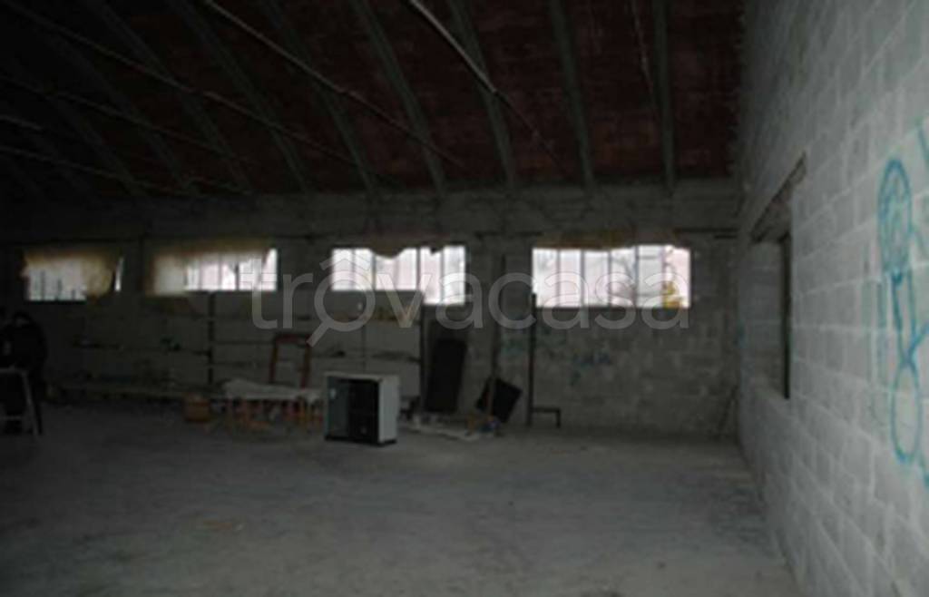 immagine annuncio 9 di 11