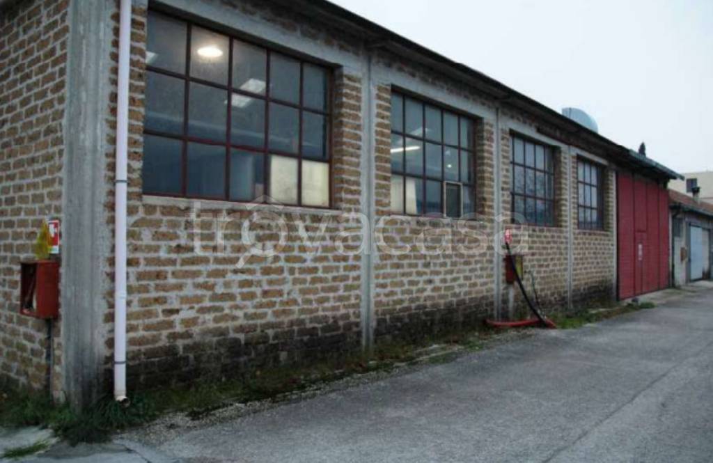 immagine annuncio 2 di 11