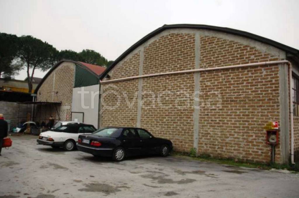 immagine annuncio 3 di 11