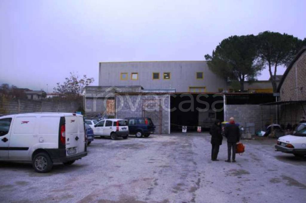 immagine annuncio 4 di 11