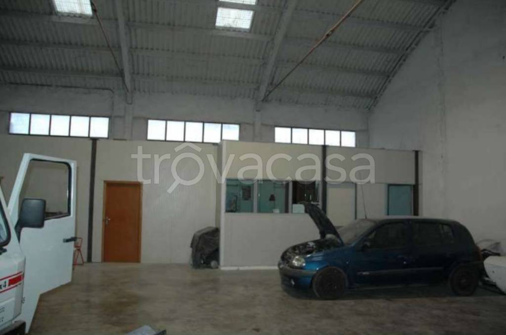 immagine annuncio 9 di 11