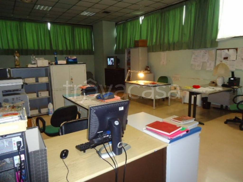 immagine annuncio 7 di 11