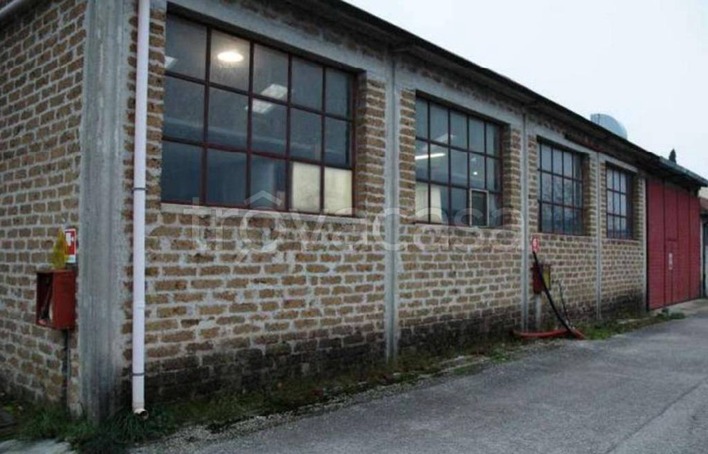 immagine annuncio 5 di 11