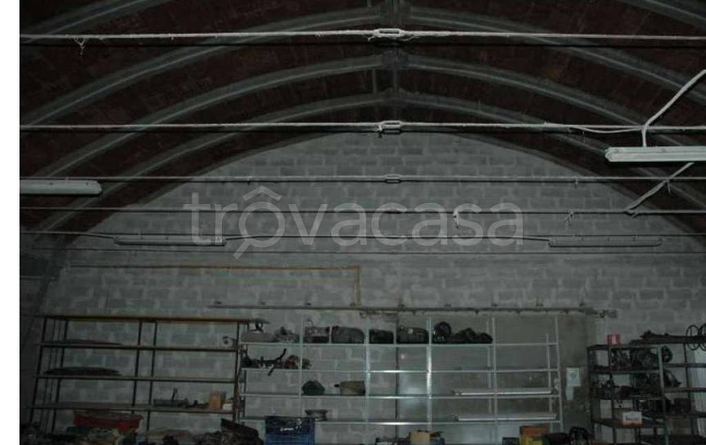 immagine annuncio 7 di 11