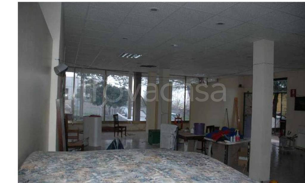 immagine annuncio 10 di 11