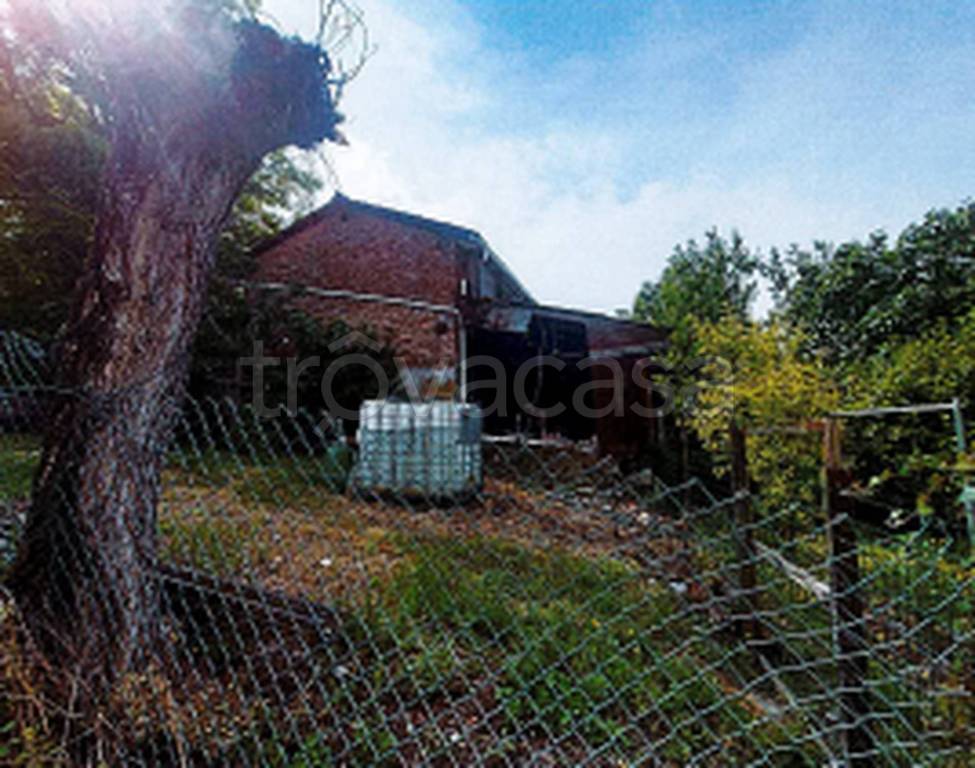 immagine annuncio 6 di 11