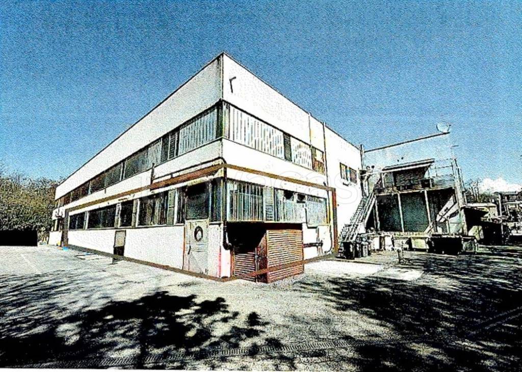 immagine annuncio 1 di 11