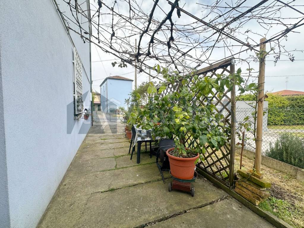 immagine annuncio 12 di 14