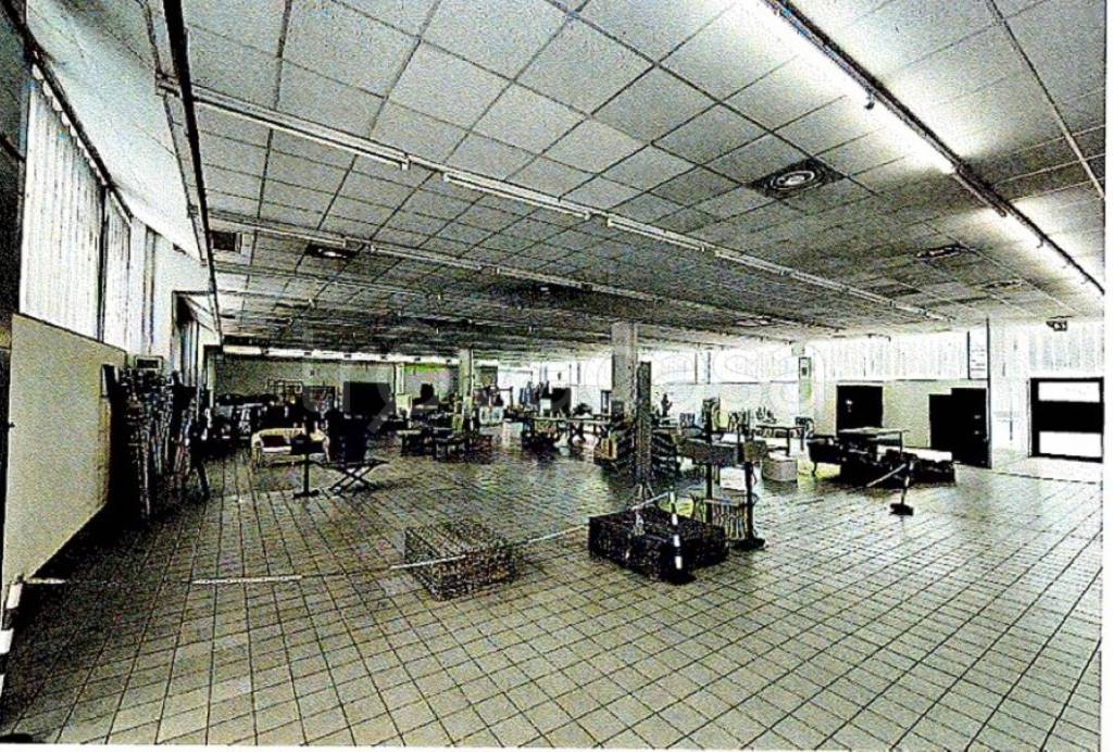 immagine annuncio 4 di 11