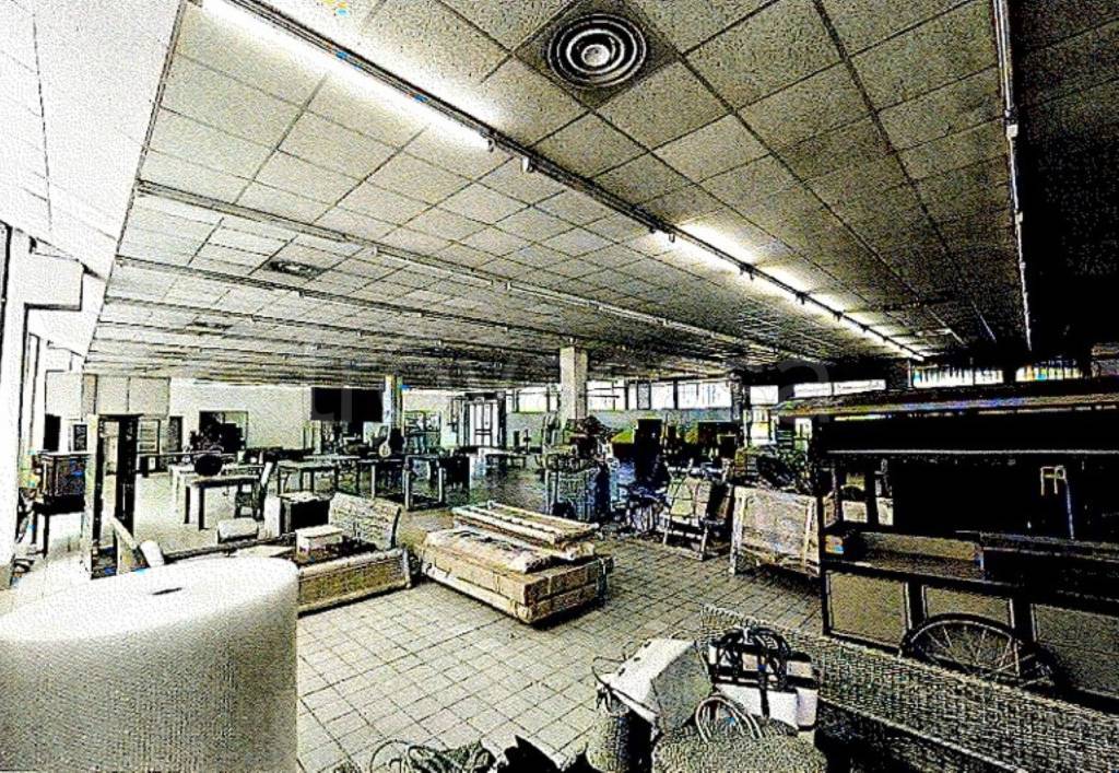 immagine annuncio 5 di 11