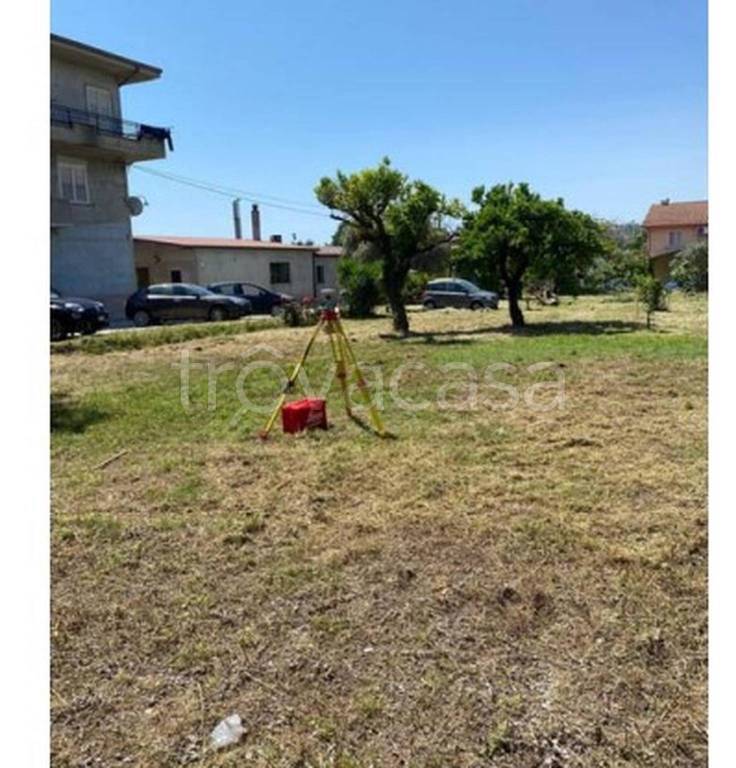 immagine annuncio 2 di 11