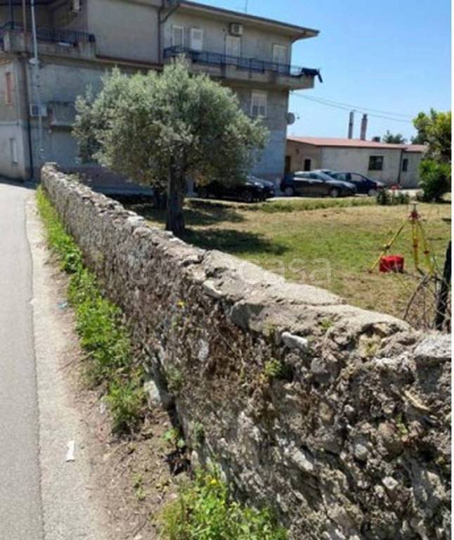immagine annuncio 6 di 11