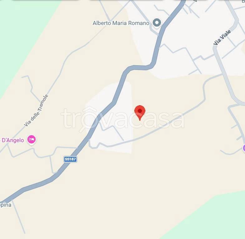 immagine annuncio 2 di 11