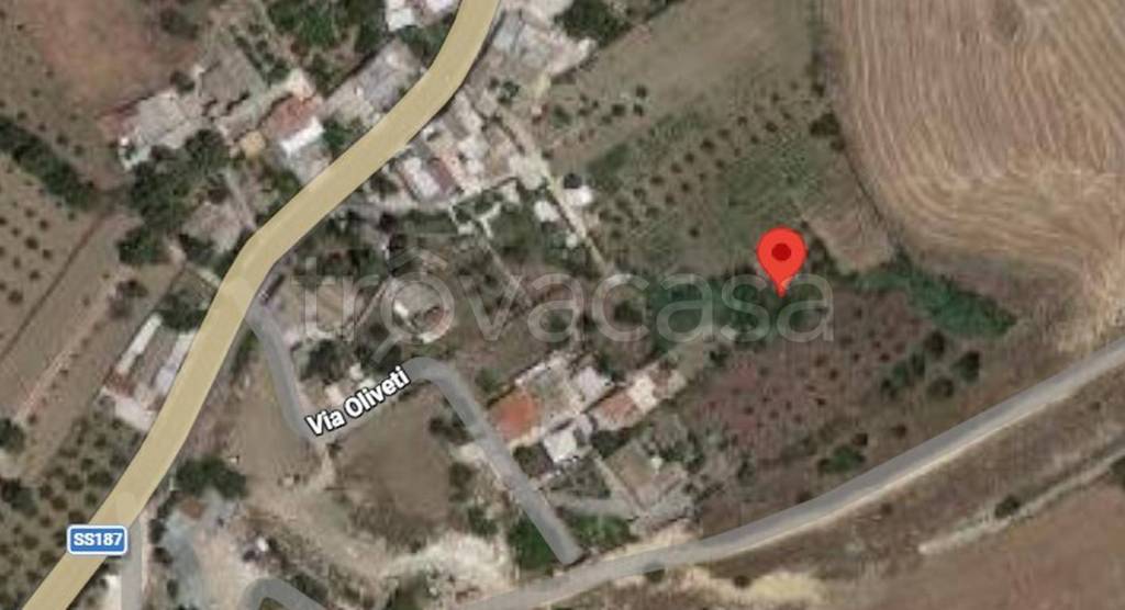 immagine annuncio 5 di 11