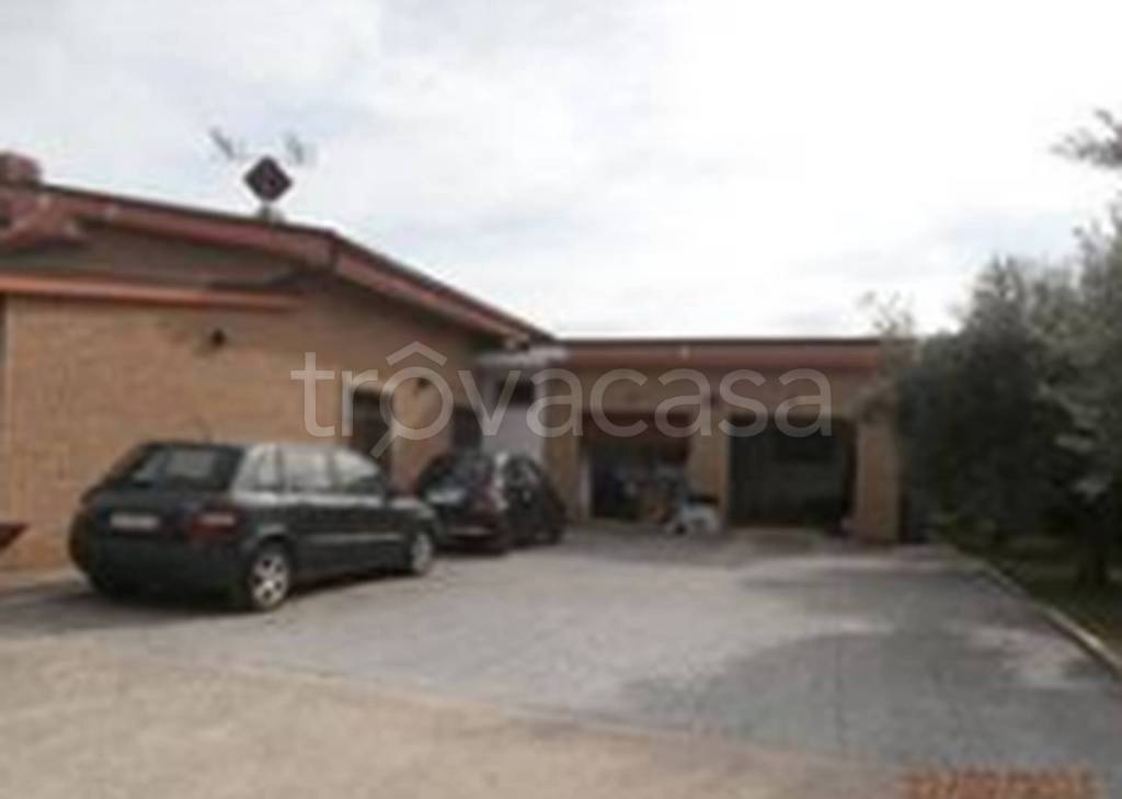 immagine annuncio 6 di 11