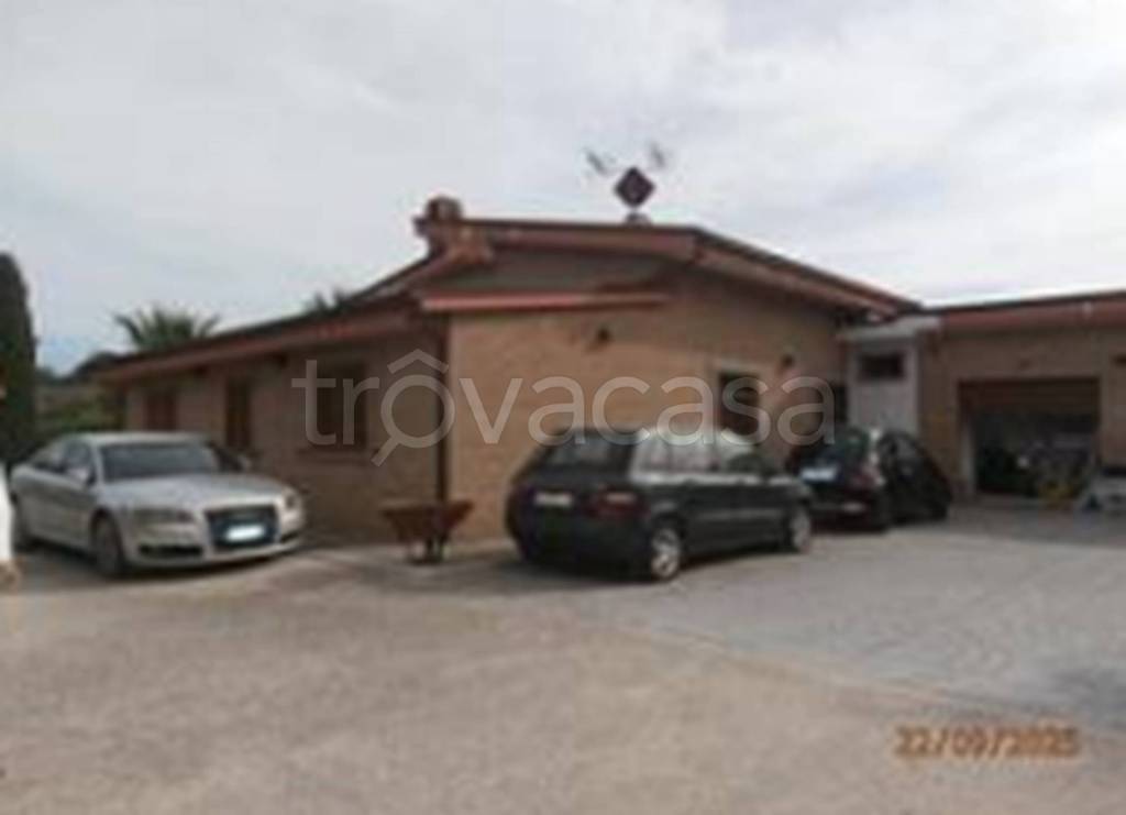 immagine annuncio 7 di 11