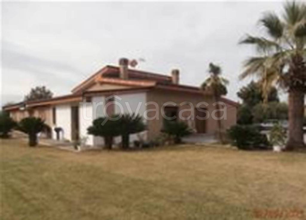 immagine annuncio 8 di 11