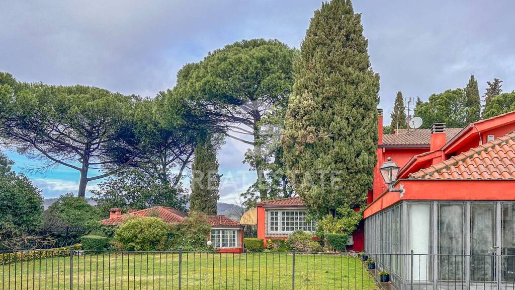 immagine annuncio 9 di 14