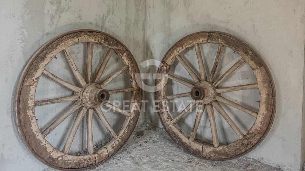 immagine annuncio 12 di 13