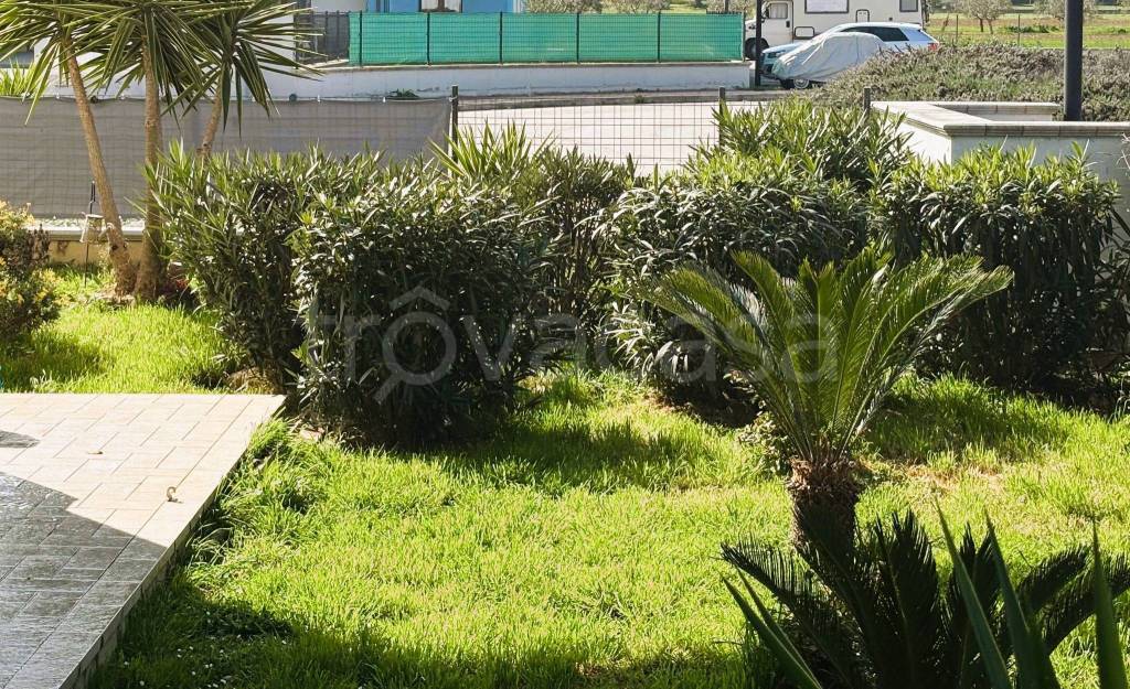 immagine annuncio 10 di 14