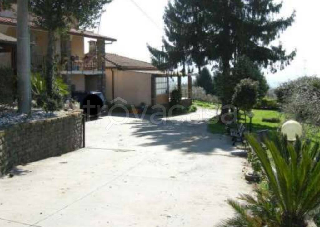 immagine annuncio 7 di 12