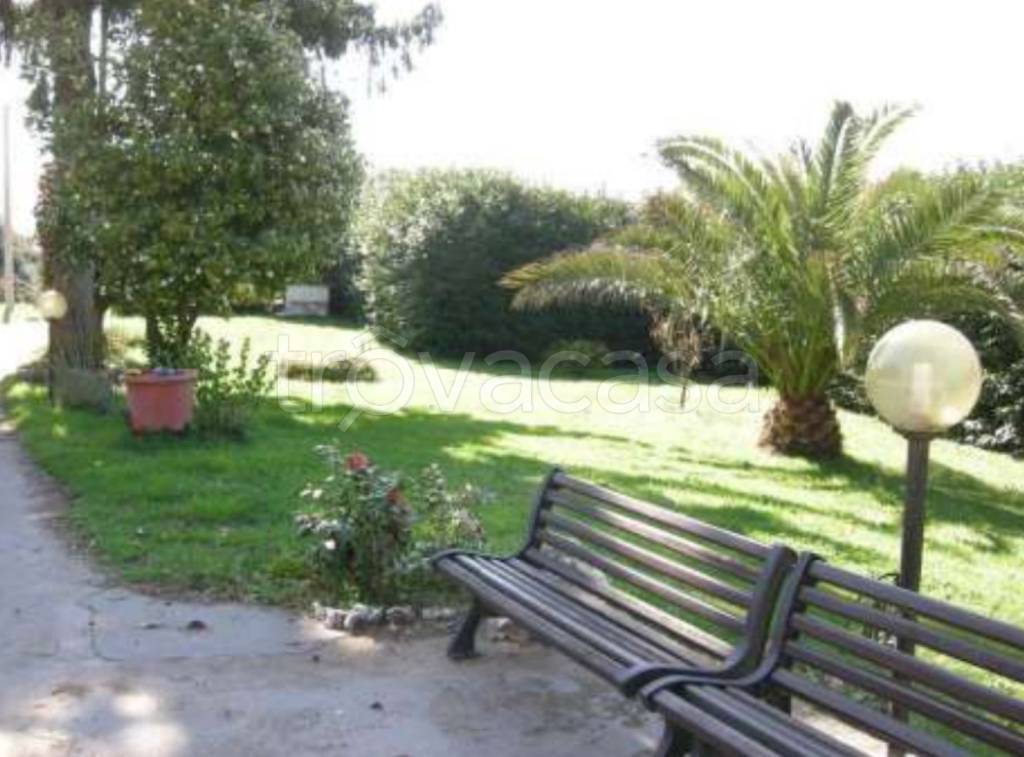 immagine annuncio 9 di 12