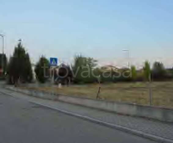 immagine annuncio 4 di 14